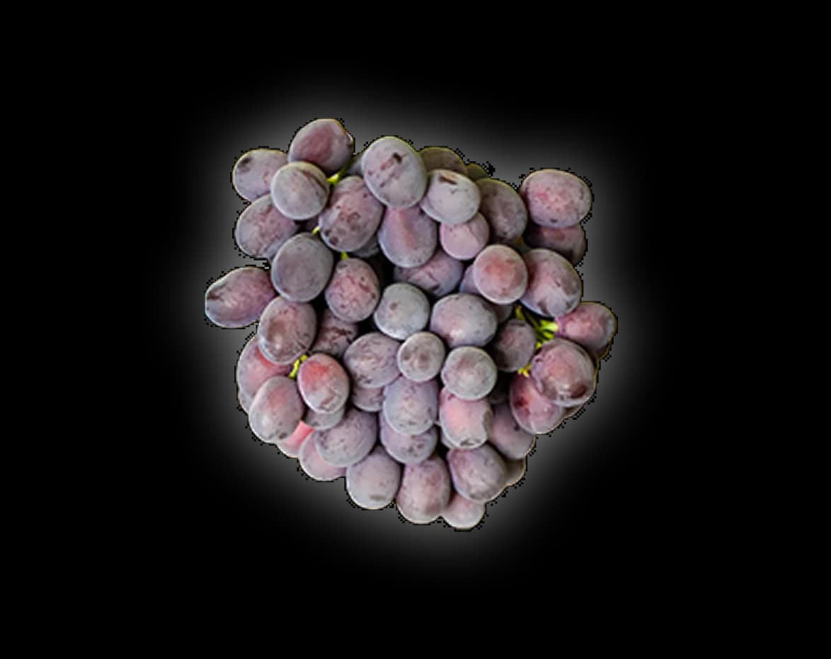 Produce held and consolidated under controlled conditions