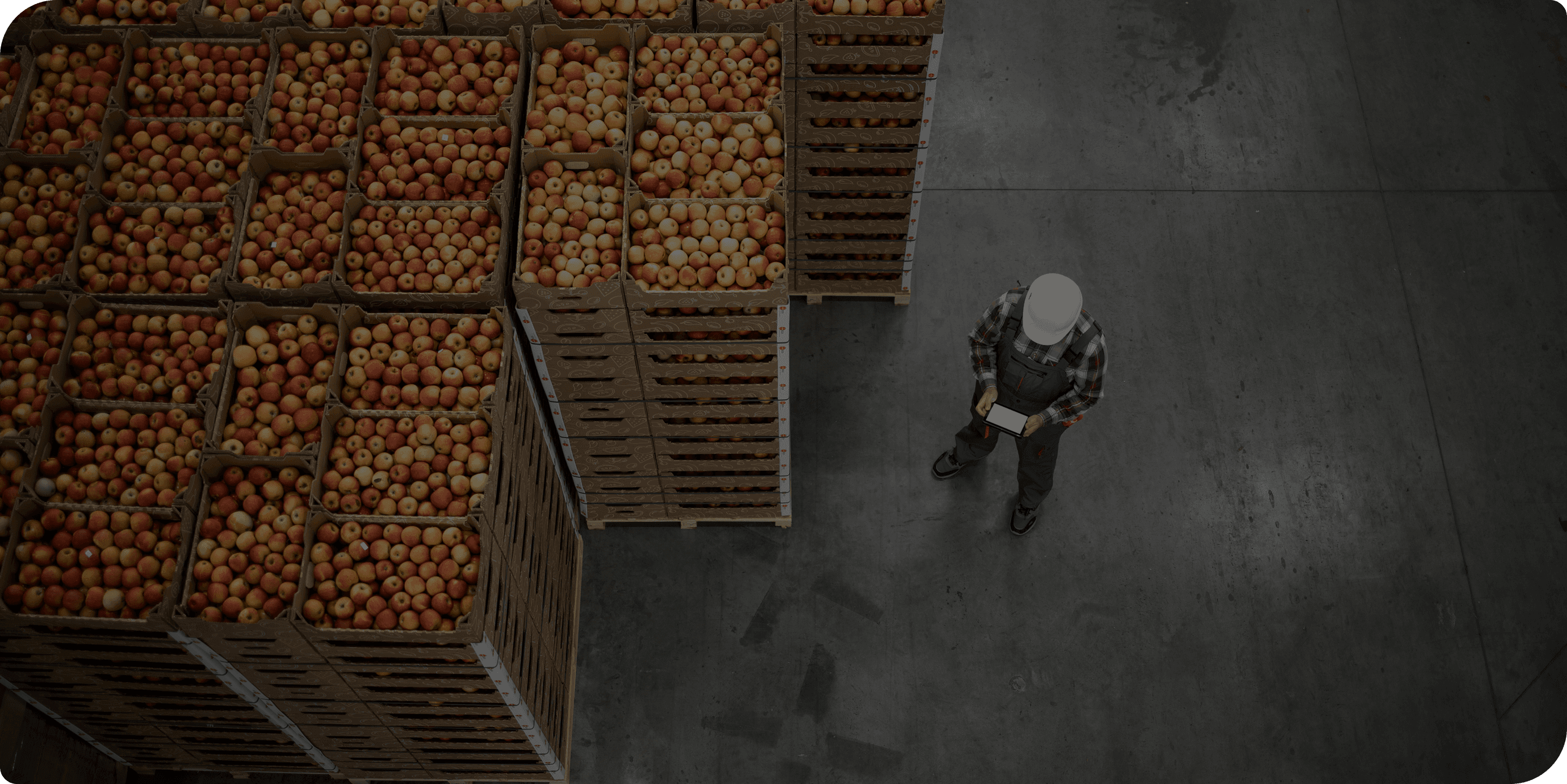 Kunkel warehouse and transport operations