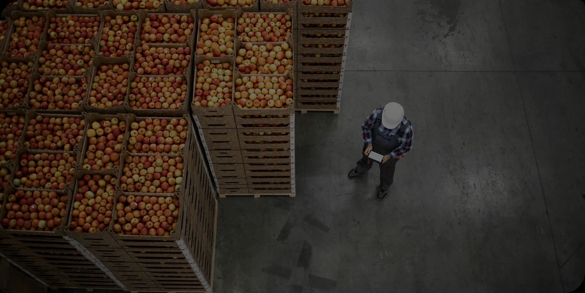 Kunkel warehouse and transport operations